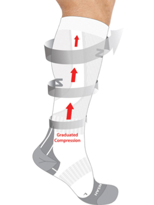 Palisades Vein Center Compression Stockings